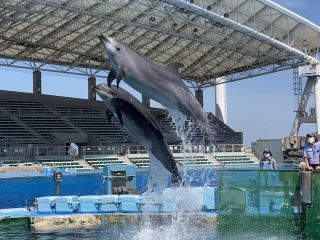 「zerolyst」さんからの投稿写真＠名古屋港水族館