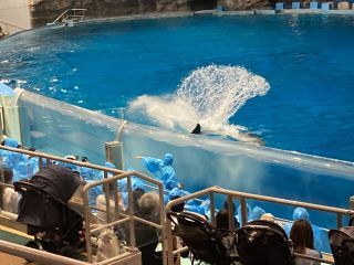 「zerolyst」さんからの投稿写真＠名古屋港水族館