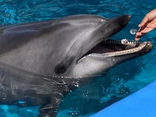 「zerolyst」さんからの投稿写真＠名古屋港水族館