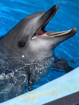 「zerolyst」さんからの投稿写真＠名古屋港水族館