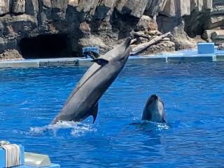 「zerolyst」さんからの投稿写真＠名古屋港水族館