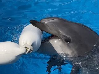 「zerolyst」さんからの投稿写真＠名古屋港水族館