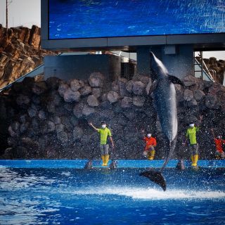 「ルーちゃん」さんからの投稿写真＠名古屋港水族館