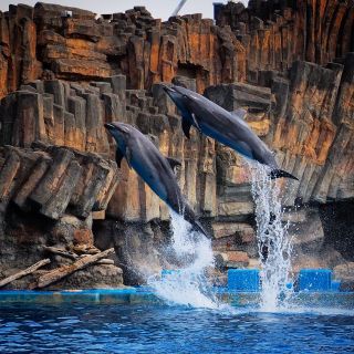 「ルーちゃん」さんからの投稿写真＠名古屋港水族館