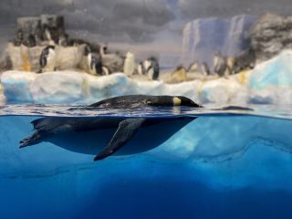 「ルーちゃん」さんからの投稿写真＠名古屋港水族館