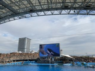 「ルーちゃん」さんからの投稿写真＠名古屋港水族館