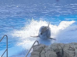 「zerolyst」さんからの投稿写真＠名古屋港水族館