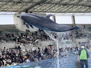 「zerolyst」さんからの投稿写真＠名古屋港水族館