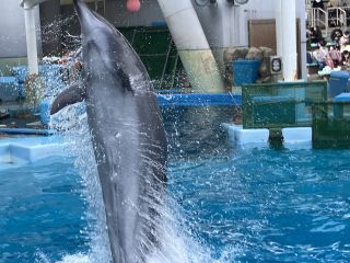 「zerolyst」さんからの投稿写真＠名古屋港水族館