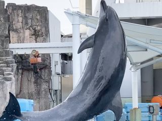 「zerolyst」さんからの投稿写真＠名古屋港水族館