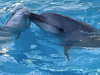 「zerolyst」さんからの投稿写真＠名古屋港水族館