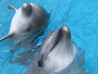 「zerolyst」さんからの投稿写真＠名古屋港水族館