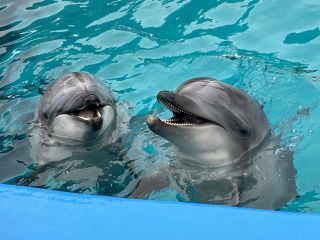 「zerolyst」さんからの投稿写真＠名古屋港水族館