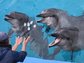 「zerolyst」さんからの投稿写真＠名古屋港水族館