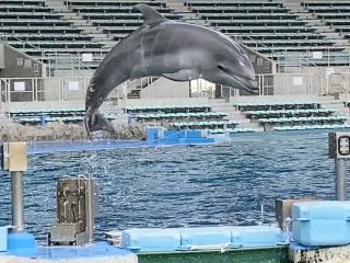 「zerolyst」さんからの投稿写真＠名古屋港水族館