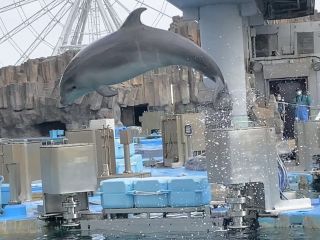 「zerolyst」さんからの投稿写真＠名古屋港水族館