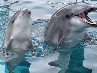 「zerolyst」さんからの投稿写真＠名古屋港水族館