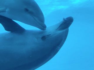 「zerolyst」さんからの投稿写真＠名古屋港水族館