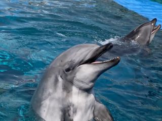 「zerolyst」さんからの投稿写真＠名古屋港水族館