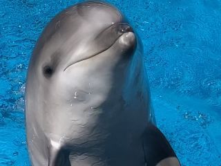 「zerolyst」さんからの投稿写真＠名古屋港水族館