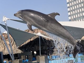 「zerolyst」さんからの投稿写真＠名古屋港水族館