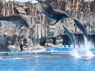 「zerolyst」さんからの投稿写真＠名古屋港水族館
