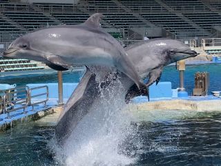 「zerolyst」さんからの投稿写真＠名古屋港水族館
