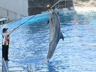 「zerolyst」さんからの投稿写真＠名古屋港水族館