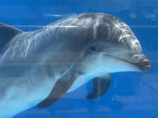 「zerolyst」さんからの投稿写真@名古屋港水族館