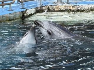 「zerolyst」さんからの投稿写真＠名古屋港水族館