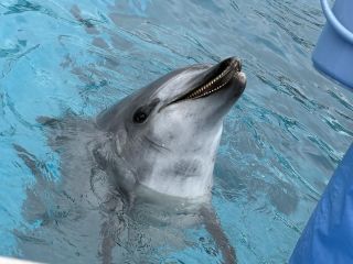 「zerolyst」さんからの投稿写真＠名古屋港水族館