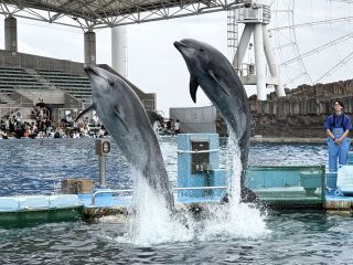「zerolyst」さんからの投稿写真@名古屋港水族館