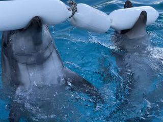 「zerolyst」さんからの投稿写真＠名古屋港水族館