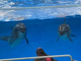 「zerolyst」さんからの投稿写真＠名古屋港水族館