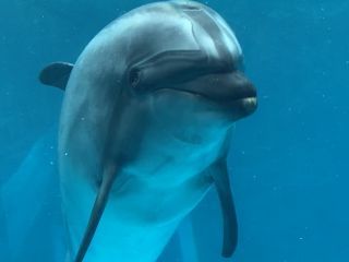 「zerolyst」さんからの投稿写真＠名古屋港水族館