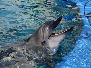 「zerolyst」さんからの投稿写真＠名古屋港水族館