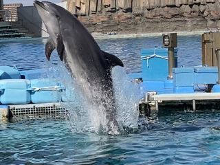 「zerolyst」さんからの投稿写真＠名古屋港水族館