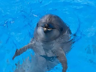 「zerolyst」さんからの投稿写真＠名古屋港水族館