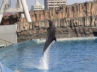 「zerolyst」さんからの投稿写真＠名古屋港水族館