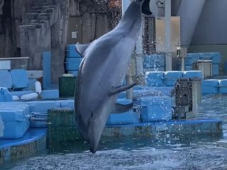 「zerolyst」さんからの投稿写真＠名古屋港水族館