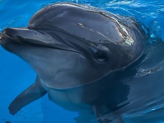 「zerolyst」さんからの投稿写真＠名古屋港水族館