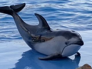 「zerolyst」さんからの投稿写真＠名古屋港水族館