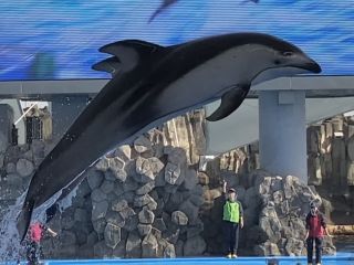 「zerolyst」さんからの投稿写真＠名古屋港水族館