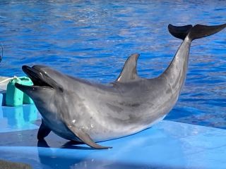 「zerolyst」さんからの投稿写真＠名古屋港水族館