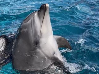 「zerolyst」さんからの投稿写真＠名古屋港水族館