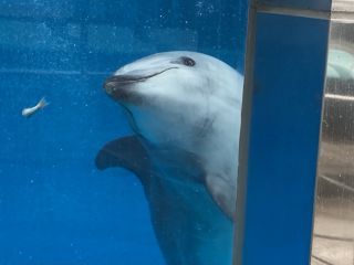 「zerolyst」さんからの投稿写真＠名古屋港水族館