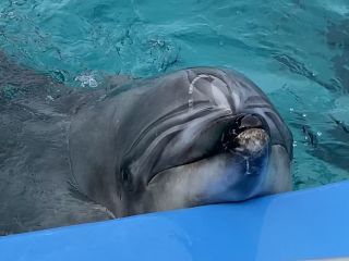 「zerolyst」さんからの投稿写真＠名古屋港水族館