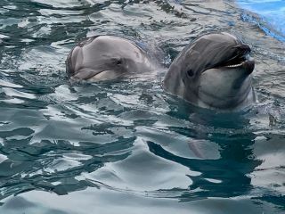 「zerolyst」さんからの投稿写真＠名古屋港水族館