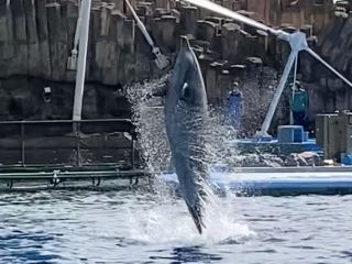 「zerolyst」さんからの投稿写真＠名古屋港水族館