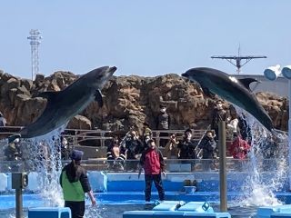 「zerolyst」さんからの投稿写真＠名古屋港水族館